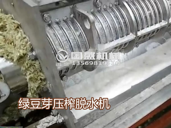 91免费破解版綠豆芽壓榨機